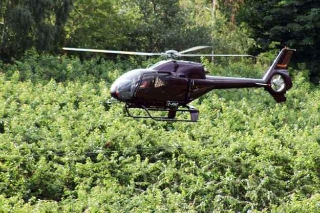 35 things you may not have known about FRUIT!! 🍒 🍅🌽🍇🍌🍋🍊🍉🍈🍍🍎🍏🍐🍌🍓