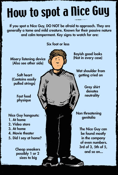 My Take on the Nice Guy Debate