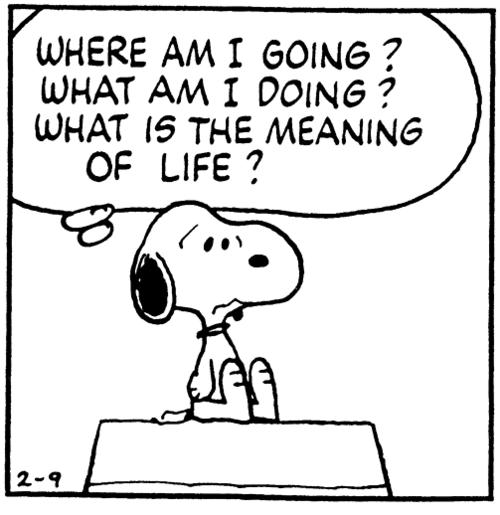 What is the meaning of life? Seriously?! Do people really not know the answer to such an obvious question?