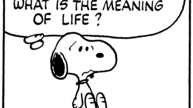 What is the meaning of life? Seriously? Do people really not know the answer to such an obvious question?