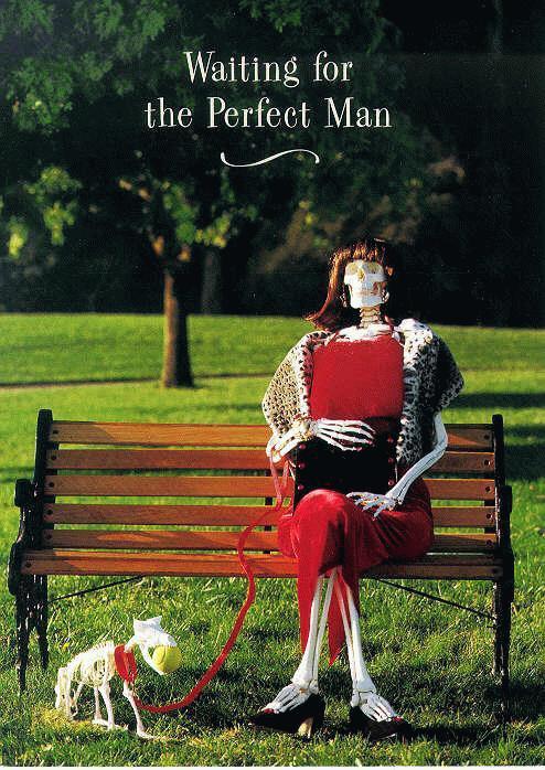 Where can we find the mysterious "Mr/Miss Perfect"?