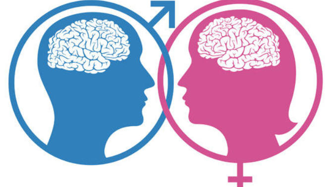 What makes Men and Women different?