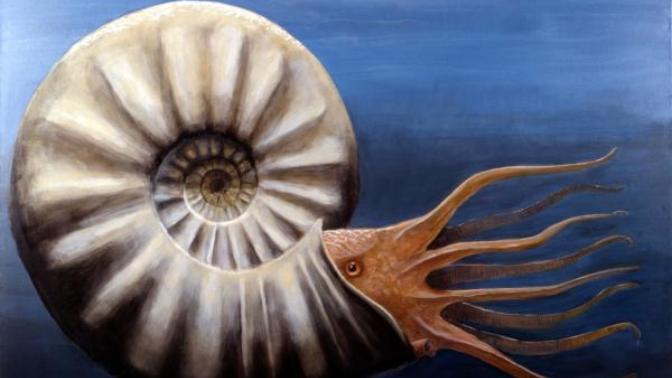 20 Amazing Sea Monsters from the Past