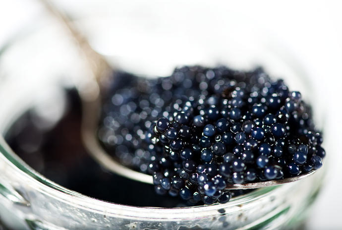 Things you gotta eat/drink before you die