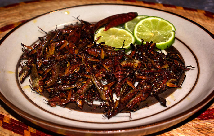 Things you gotta eat/drink before you die