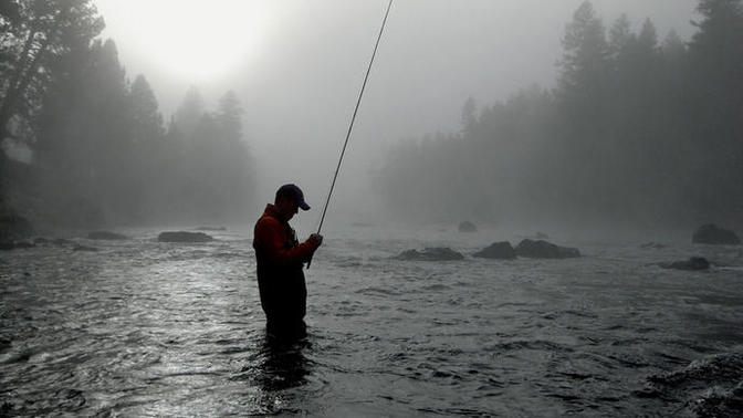 Fish Don't Hunt