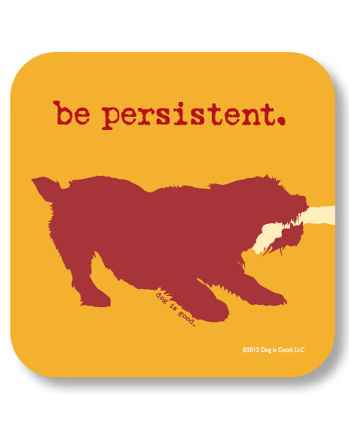 How to Succeed In EVERYTHING You Do