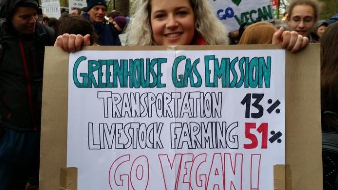 Do you consider yourself an Environmentalist?