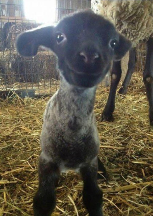 People who are having a worse day than you