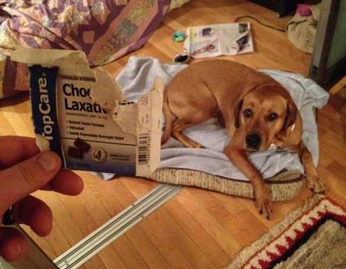 People who are having a worse day than you