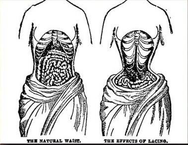 waist trainer damage organs