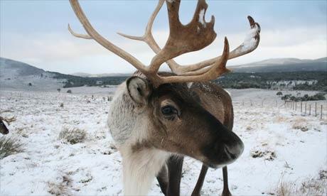 Think You Know Santa? Think Again...