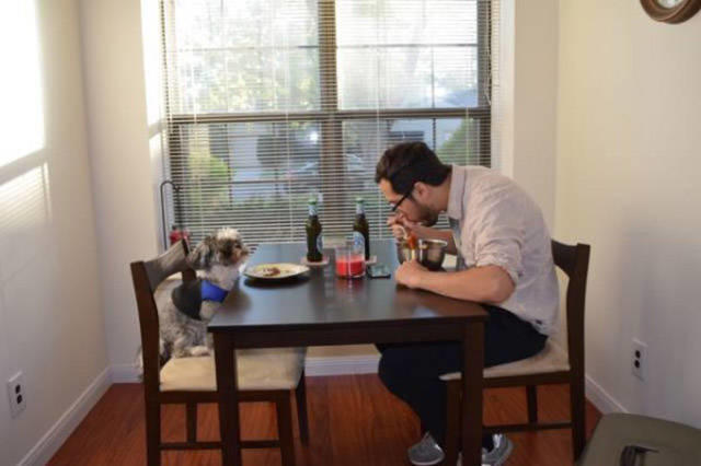 How to spend the holiday season alone