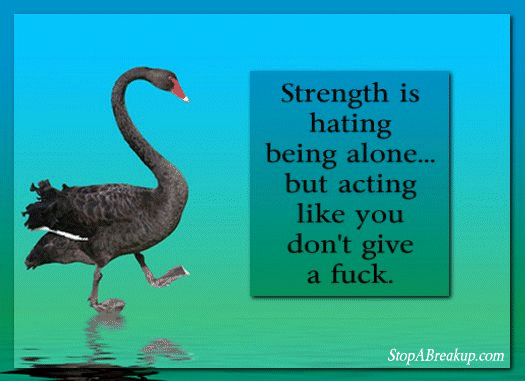 How To Spend The Holiday Season Alone