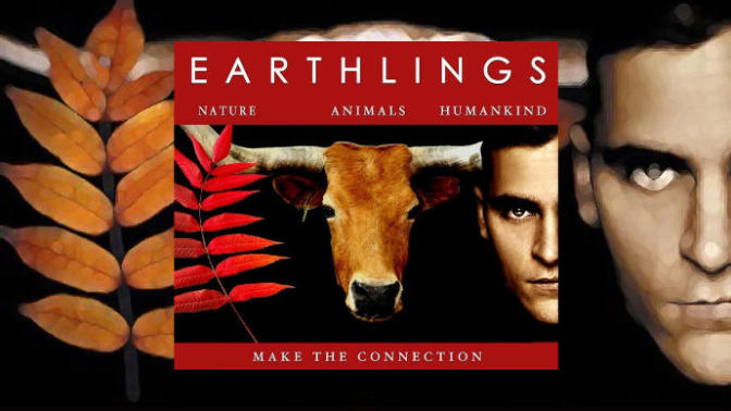 Life-changing and eye-opening movies you HAVE to watch!