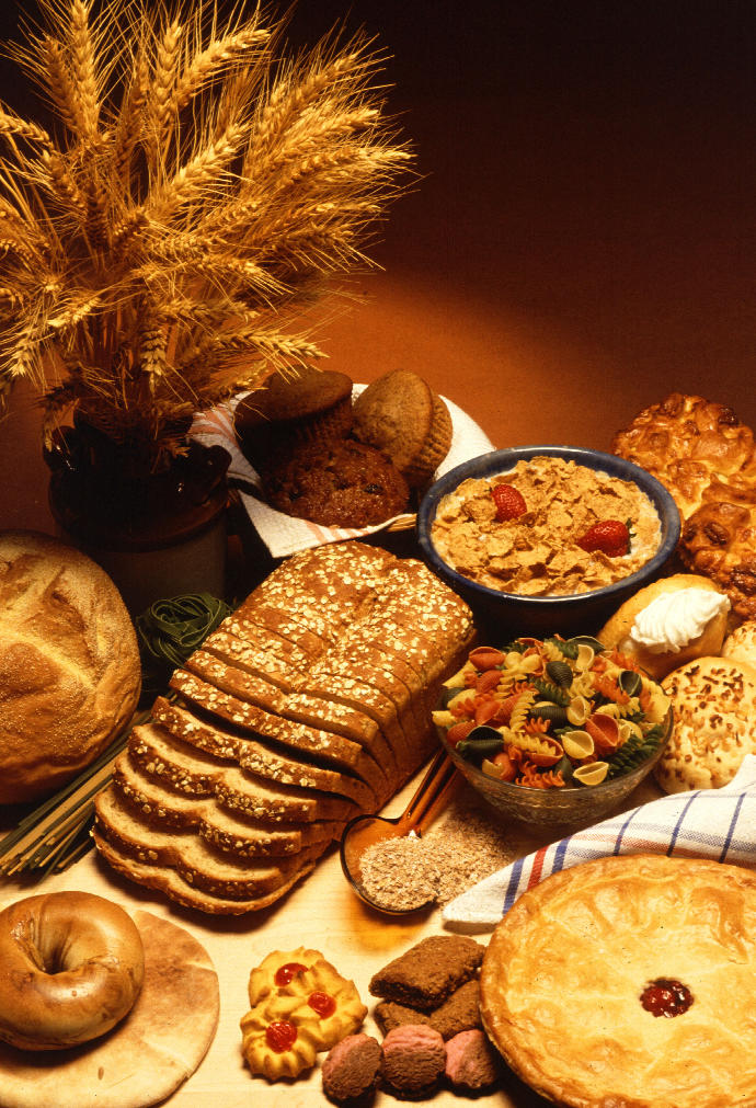 The 'Stone Age Diet'