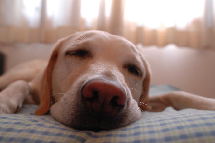 5 ways to handle stress, make you happier, deal with life (holiday hangover addition 6 days late)