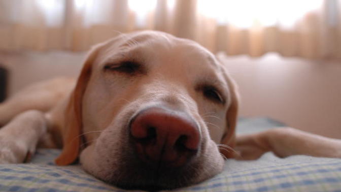 5 ways to handle stress, make you happier, deal with life (holiday hangover addition 6 days late)