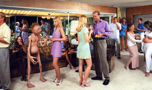 Life, Love and The Quest For Perfection