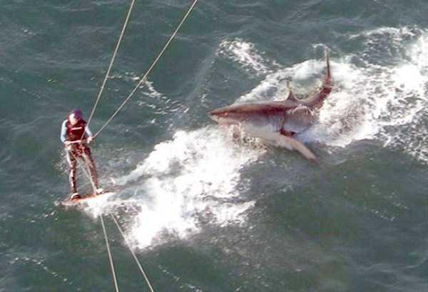 You think you're having a bad day?