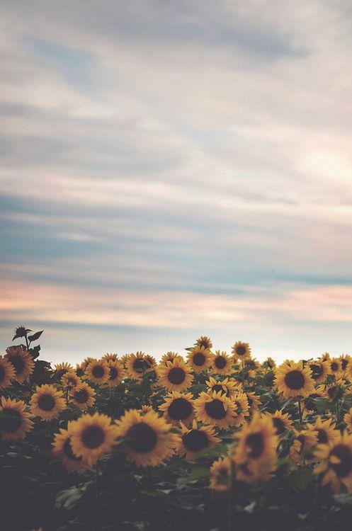 Beautiful pieces of Photography