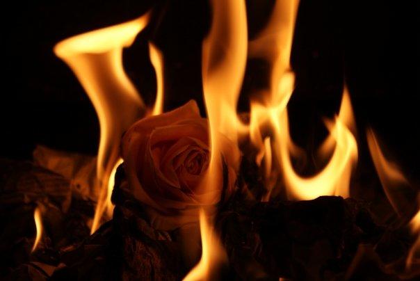 The Girl In The Fire 🔥🔥🔥