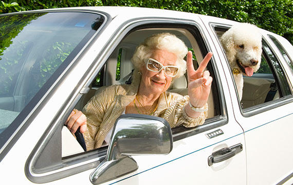 Top 8 Reasons Why Having A Pet Is Awesome For Your Health