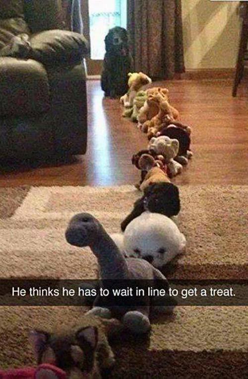 20 hilarious Snapchats