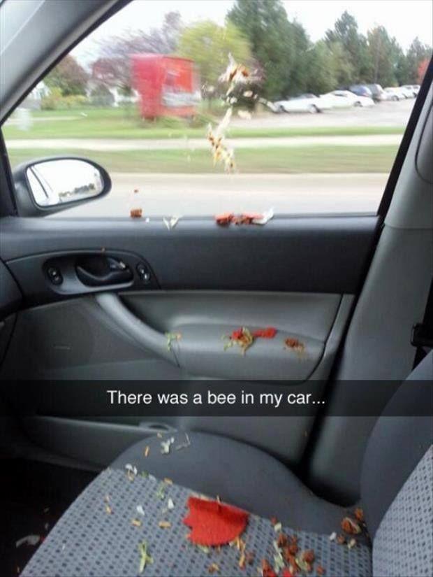 20 hilarious Snapchats