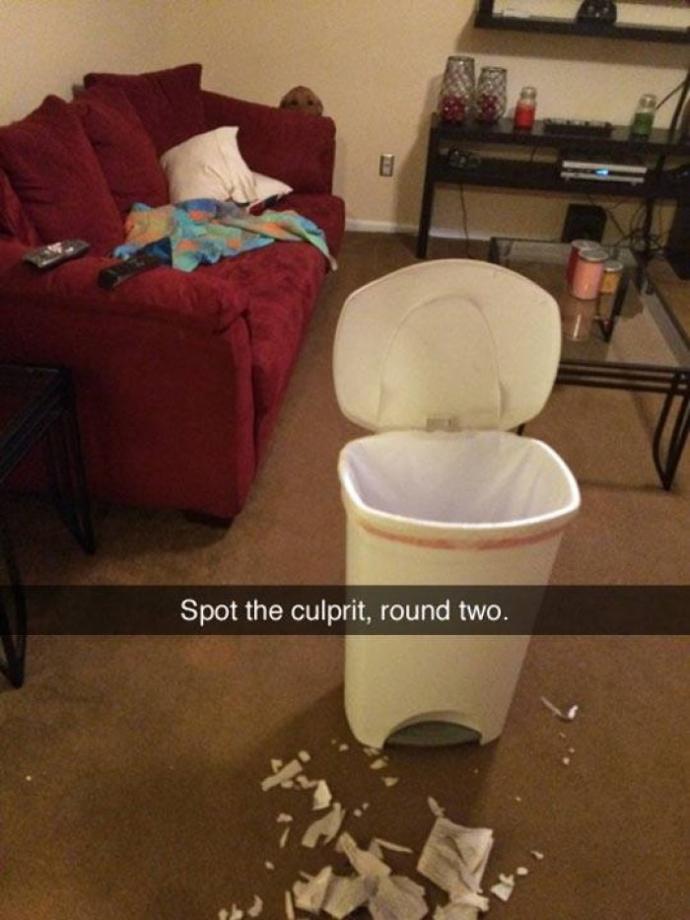 20 hilarious Snapchats