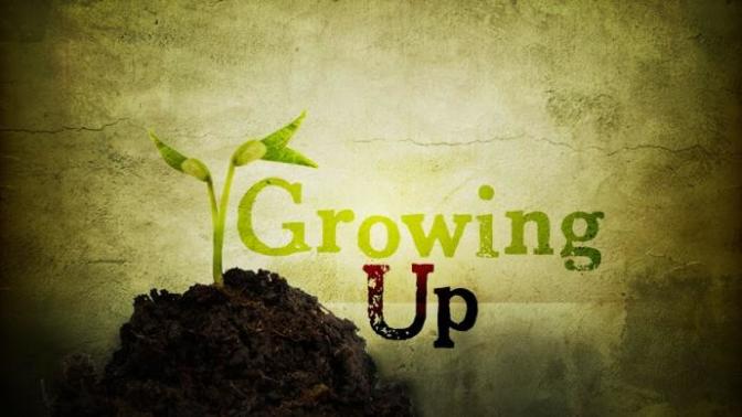 Things I Learnt Growing Up