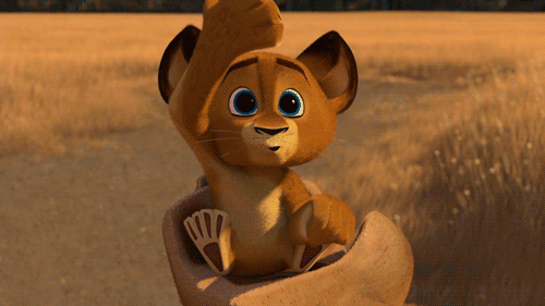 A letter to my future husband- with cat gifs/videos and pictures
