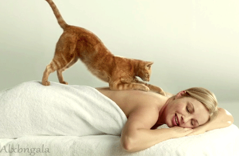 A letter to my future husband- with cat gifs/videos and pictures