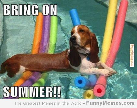 Dealing with summer!