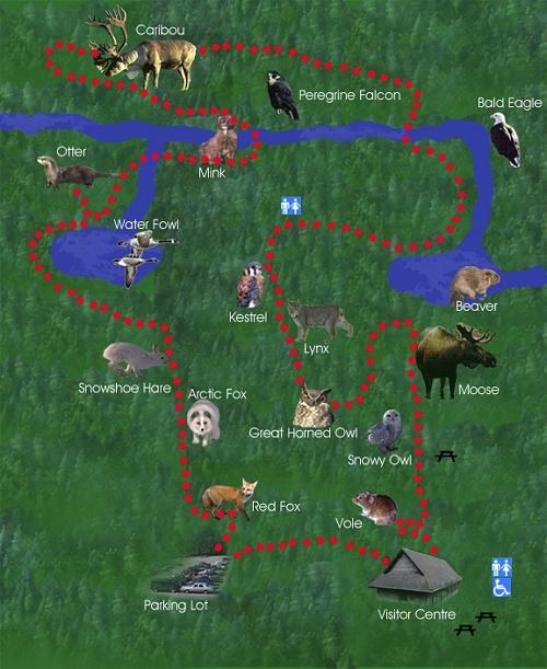 Things You Should Know About Newfoundland, Part 2