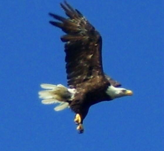 Things You Should Know About Newfoundland, Part 2