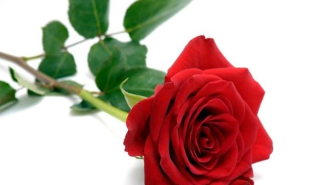 Valentine's Day : My Thoughts on it.