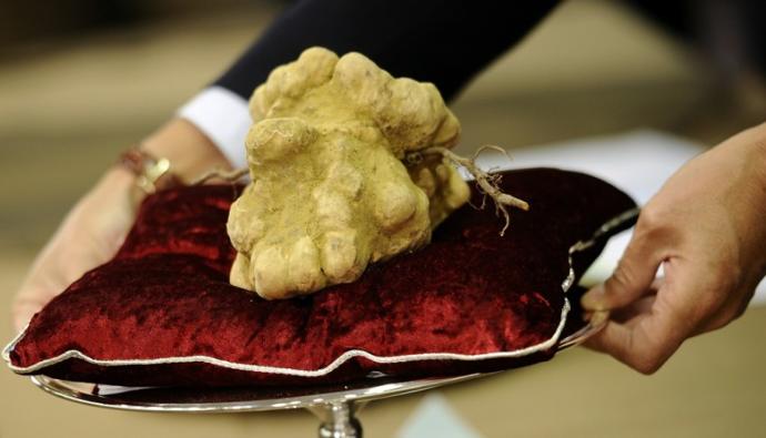World's Most Expensive…
