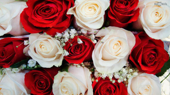 How To Not Cry On Valentine's Day
