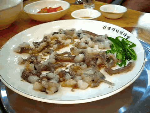 Exotic Foods: 8 Animals Eaten Alive