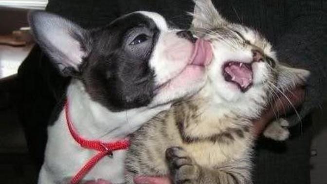 My Valentine's Day 2016 Take On Love