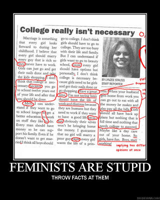Feminism and Misconceptions in a Nutshell