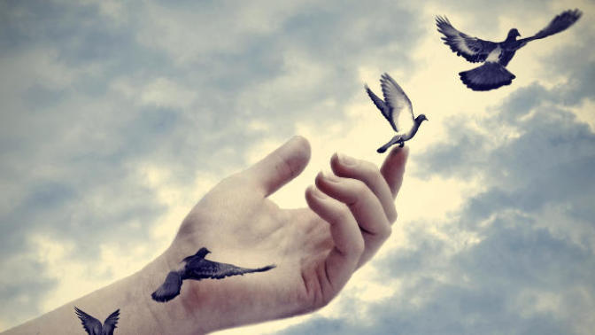 Feeling Like Giving Up? Noooo! Do Not Give Up, But Pursue!