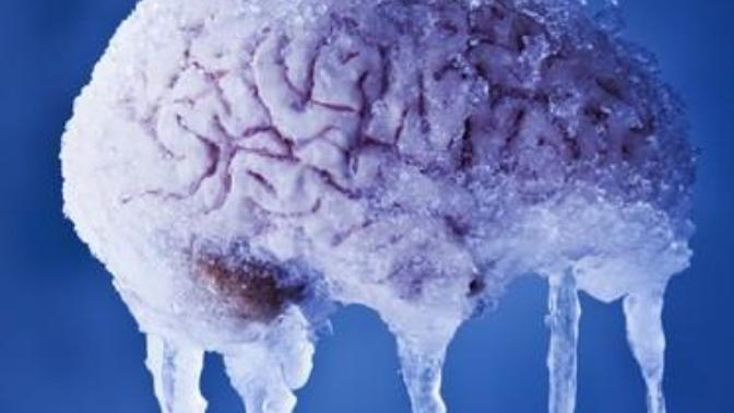 Interesting Facts About the Human Body