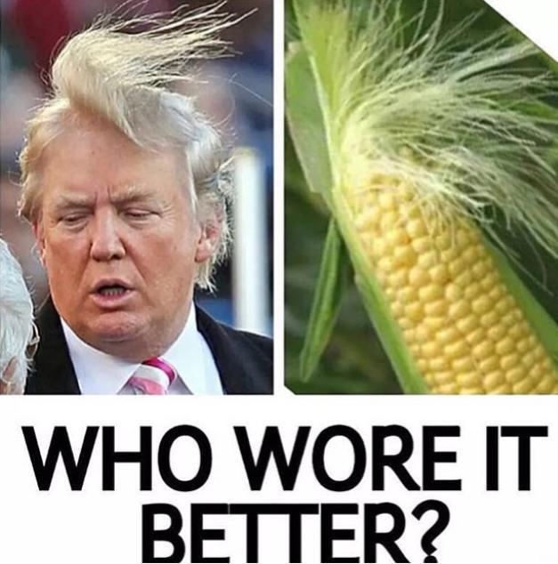 Top 10 Questions About Donald Trump