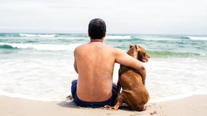 Dog: Man's Best Friend