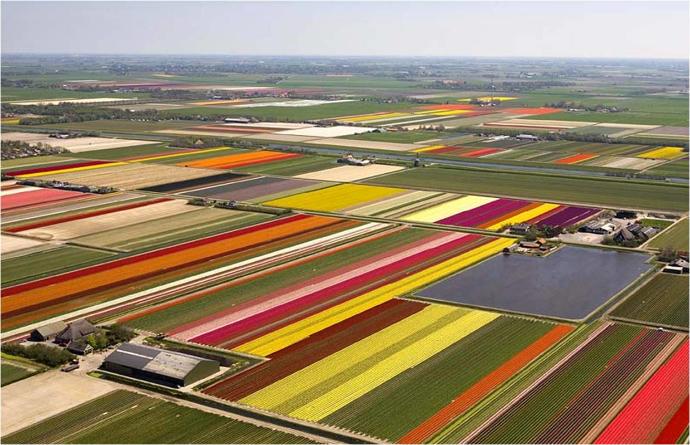 Reasons to Visit Amsterdam This Spring
