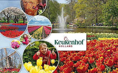 Reasons to visit Amsterdam this spring