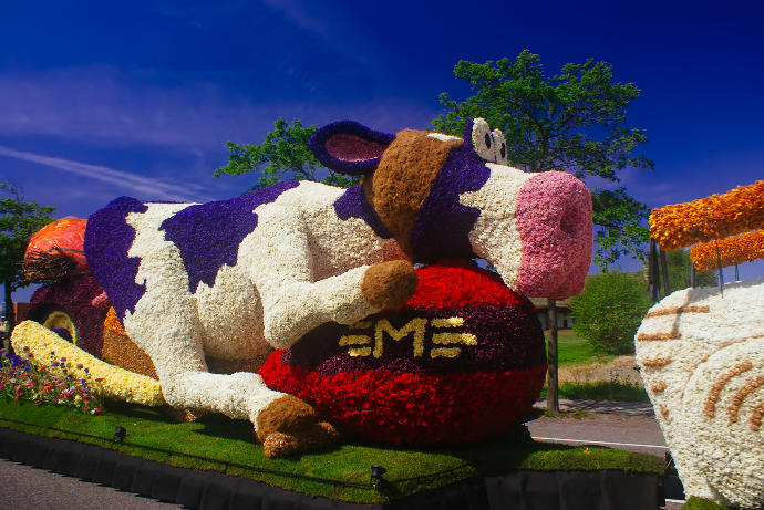 Reasons to Visit Amsterdam This Spring