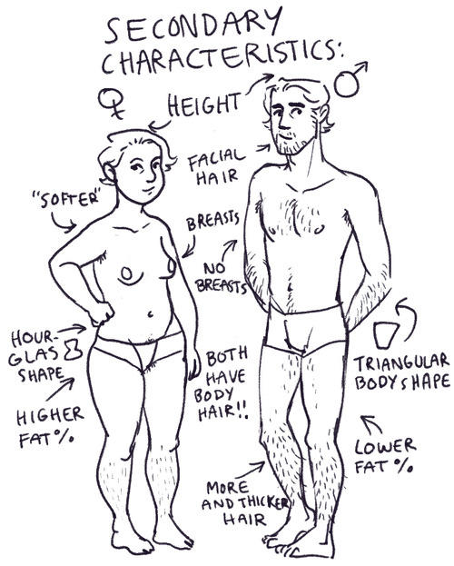 All Ladies Are Naturally Attractive Provided They Abide By Natures Requirements!!